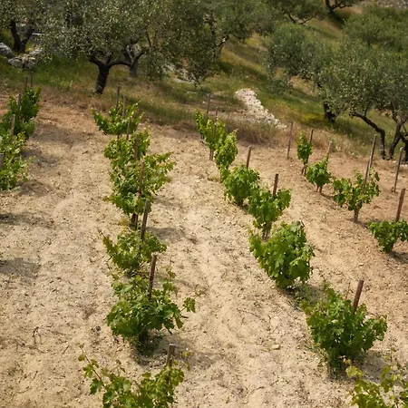 Oliva Emerald Eco - Secluded Off-grid Vineyard
